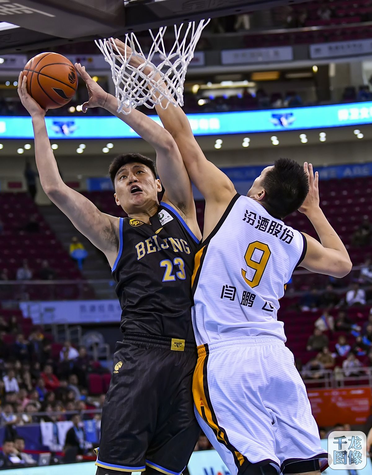 这让主力球 这让主力球