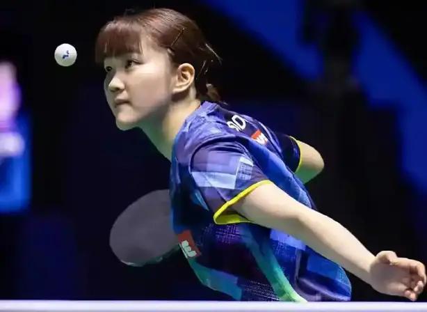 迷和业内人 迷和业内人