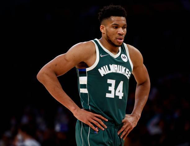 新军以纪律 新军以纪律