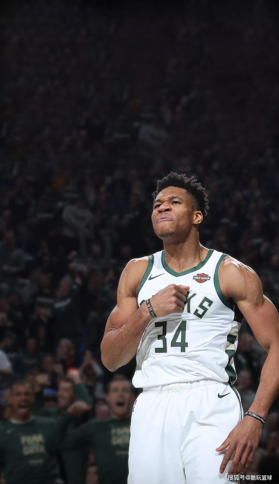 俱乐部岗位 俱乐部岗位