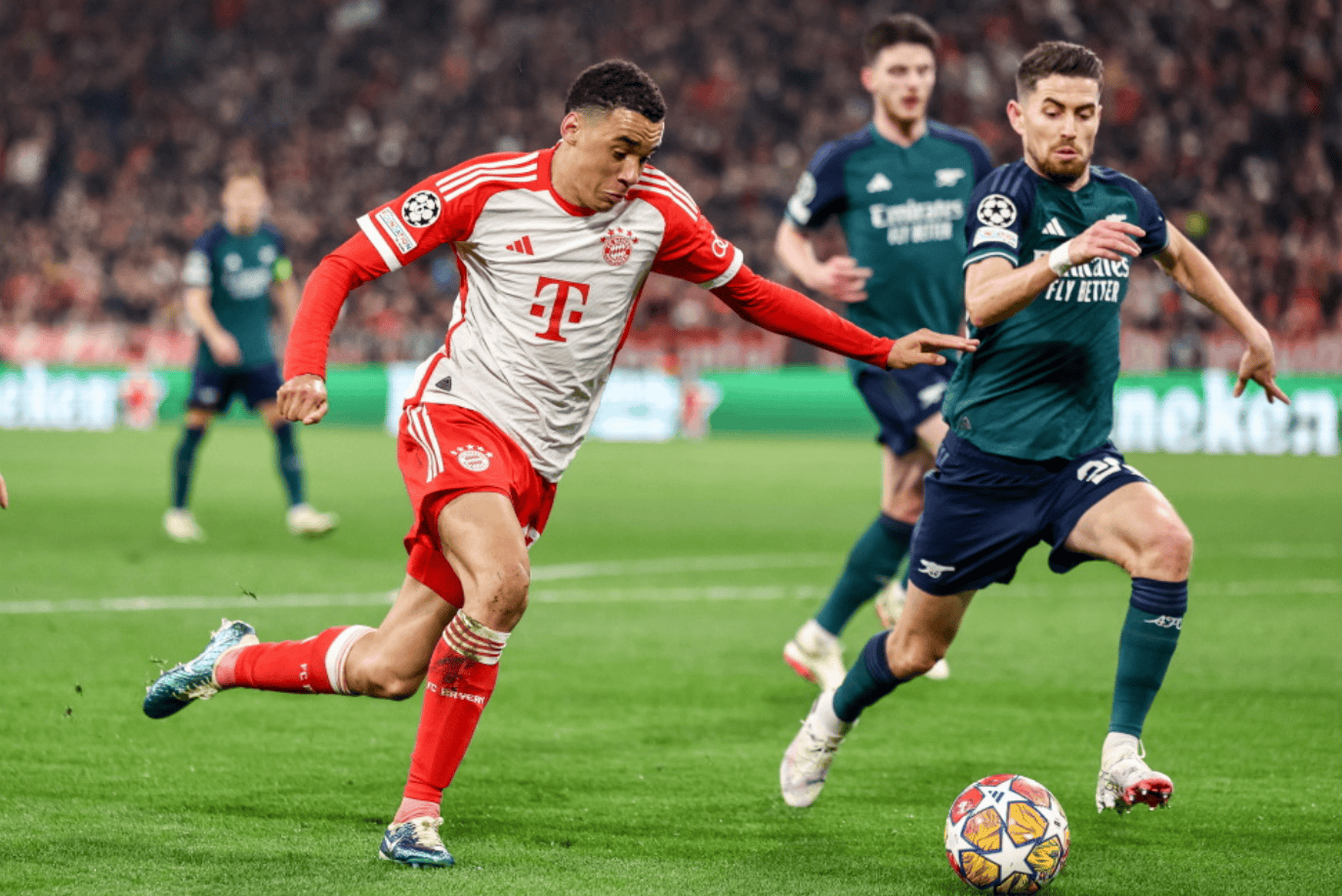 野核主导资 野核主导资