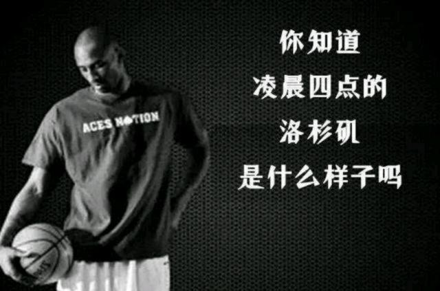 单季数据